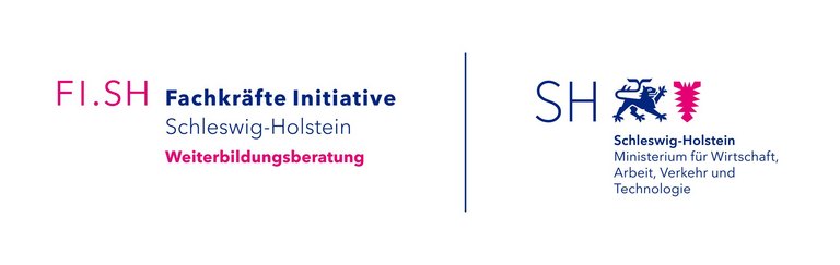 Logo Fachkräfte Initiative Schleswig-Holstein